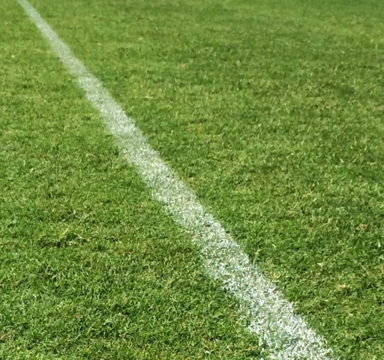 Soccer Field image 2