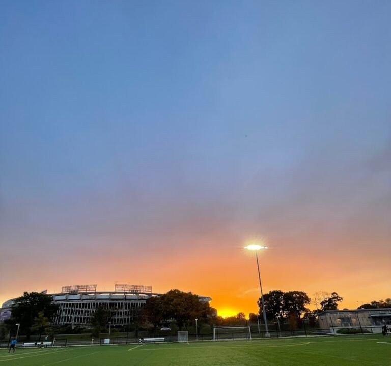 Soccer Field image 2