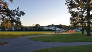 Soccer Field image 1