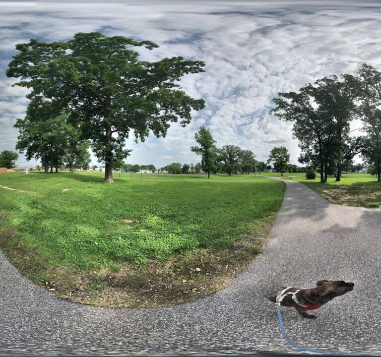 Soccer Field image 3