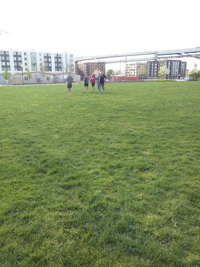 Soccer Field image 1