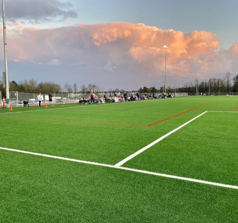 Soccer Field image 2