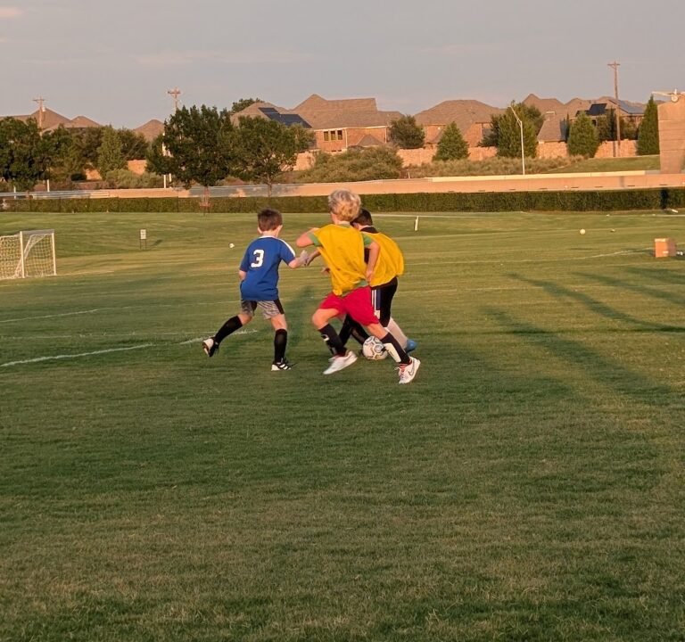 Soccer Field image 2