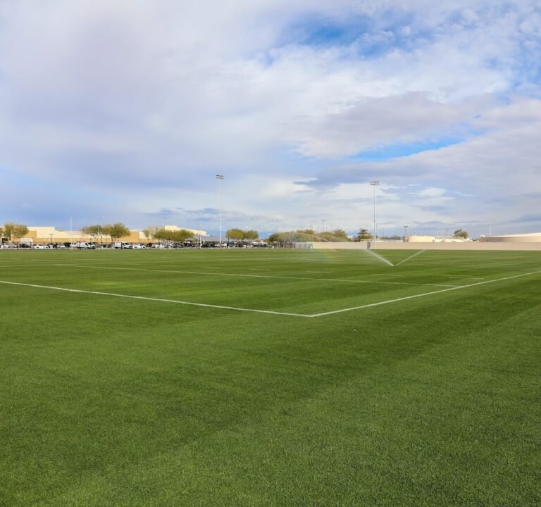 Soccer Field image 3