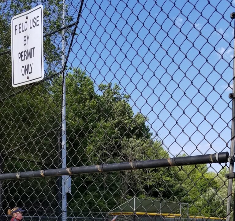Soccer Field image 3