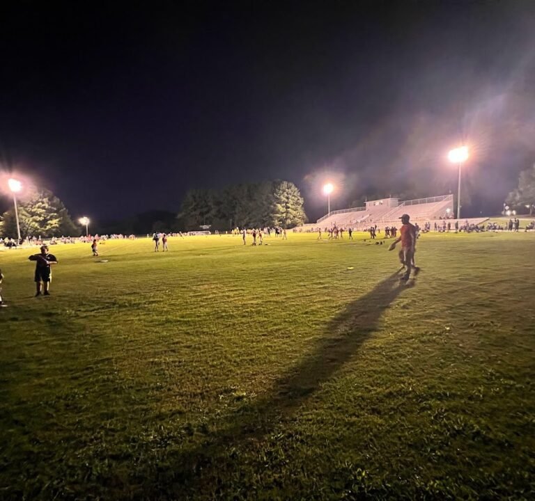 Soccer Field image 3