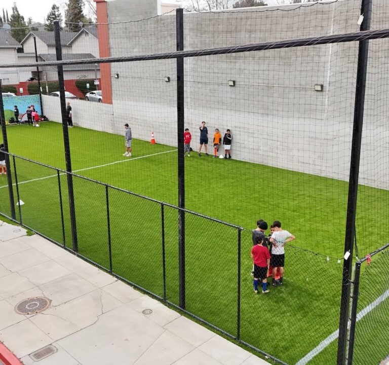 Soccer Field image 2