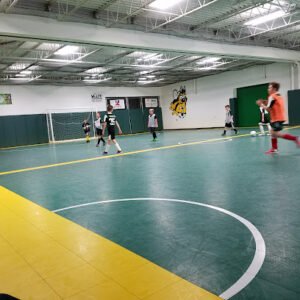 Soccer Field image 1
