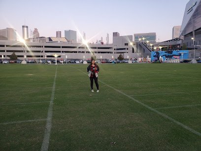 Soccer Field image 1