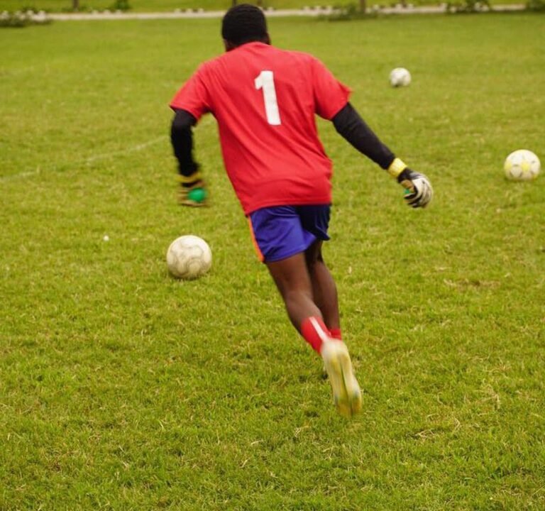 Soccer Field image 3