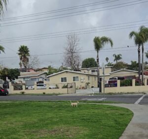 Soccer Field image 3