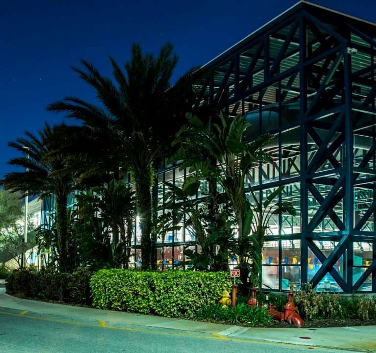 Soccer Field image 2