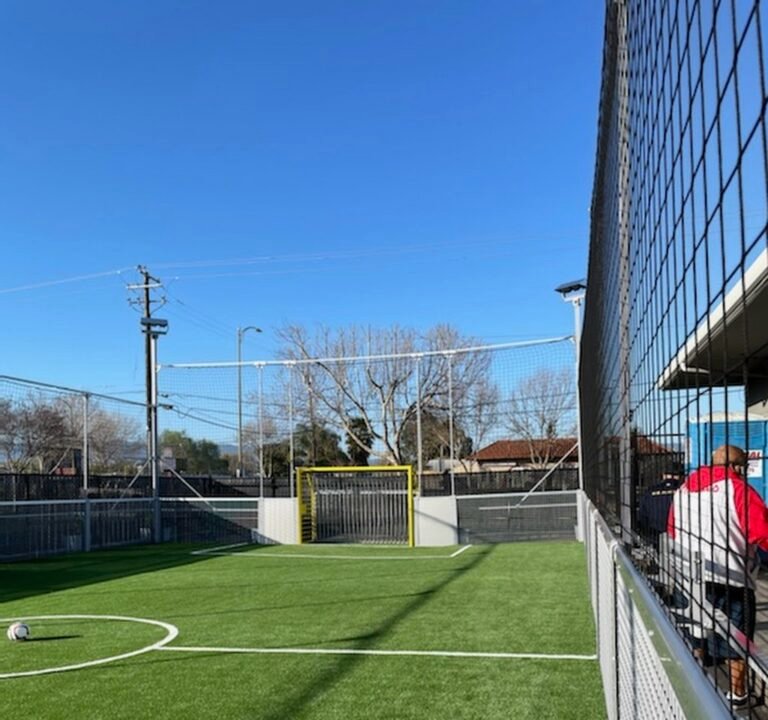 Soccer Field image 3