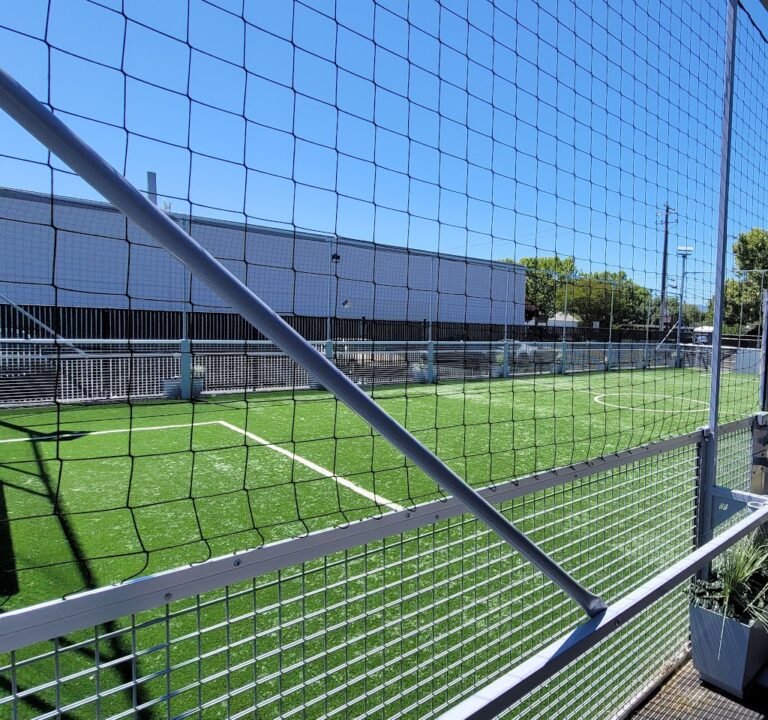 Soccer Field image 2