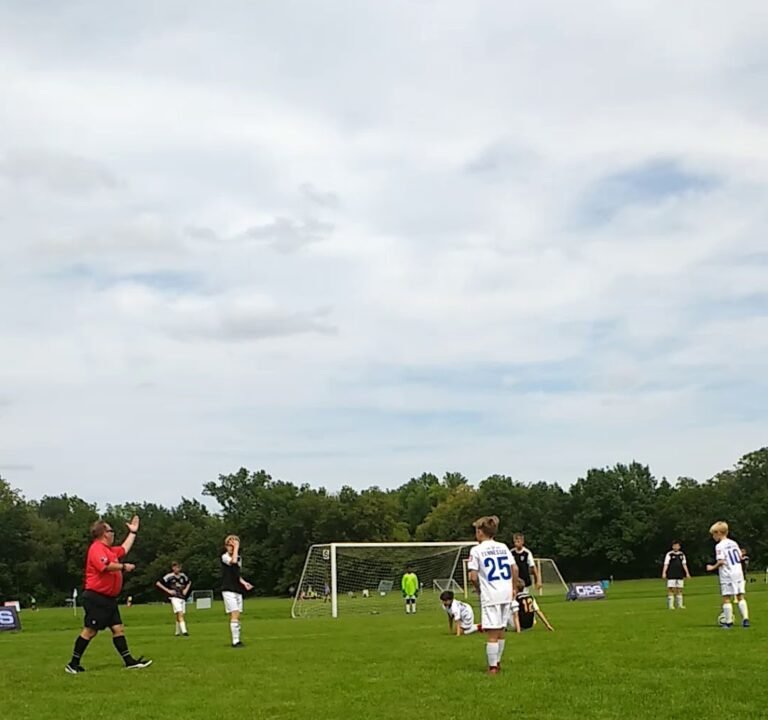 Soccer Field image 4