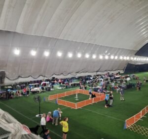 Soccer Field image 2