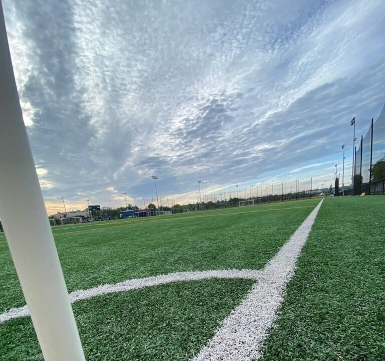 Soccer Field image 2