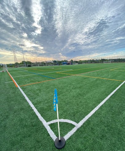 Soccer Field image 1