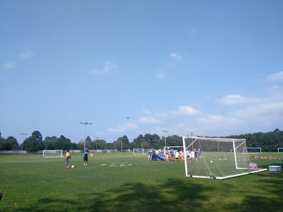 Soccer Field image 1