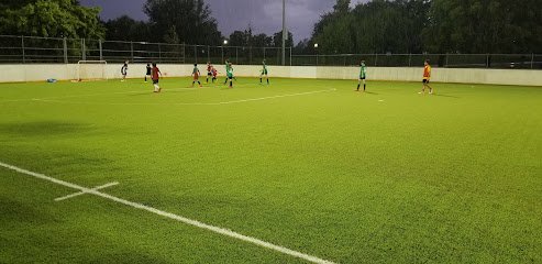 Soccer Field image 1
