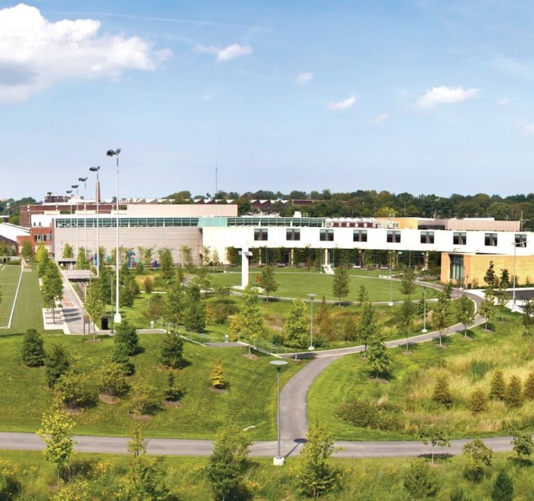 Soccer Field image 2