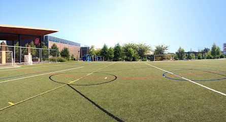 Soccer Field image 1
