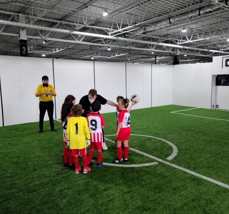 Soccer Field image 2