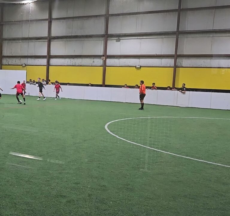 Soccer Field image 3
