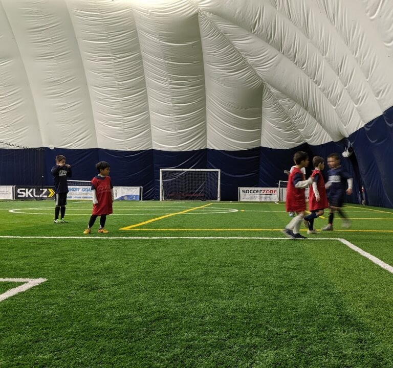 Soccer Field image 2