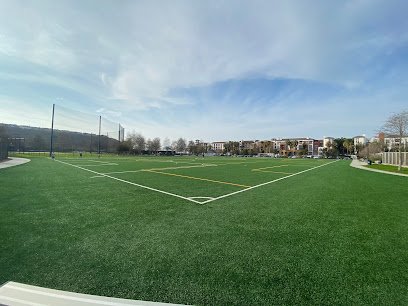 Soccer Field image 1