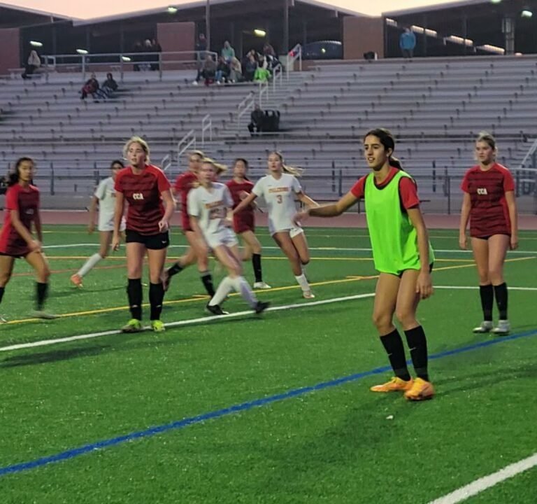 Soccer Field image 3