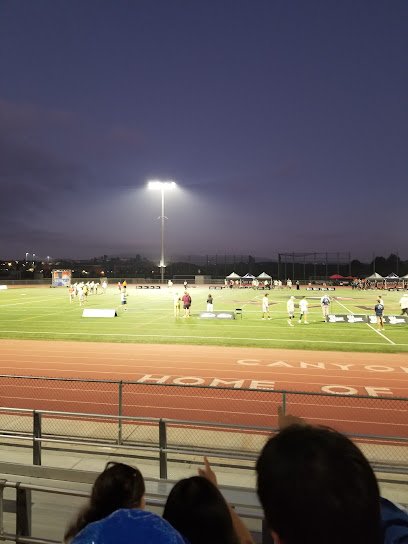 Soccer Field image 1