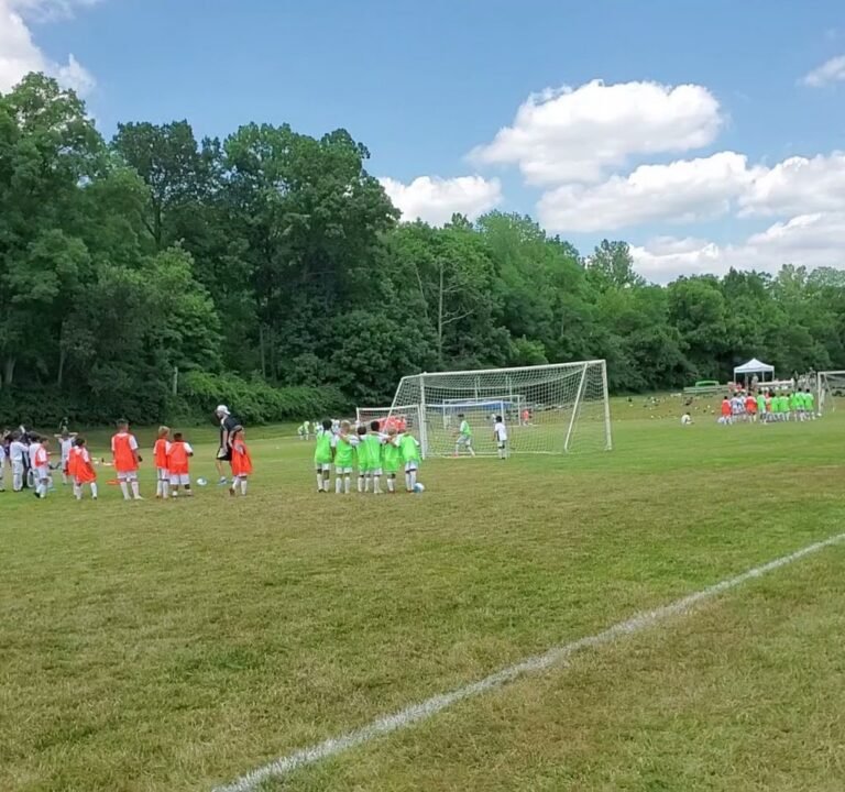 Soccer Field image 3