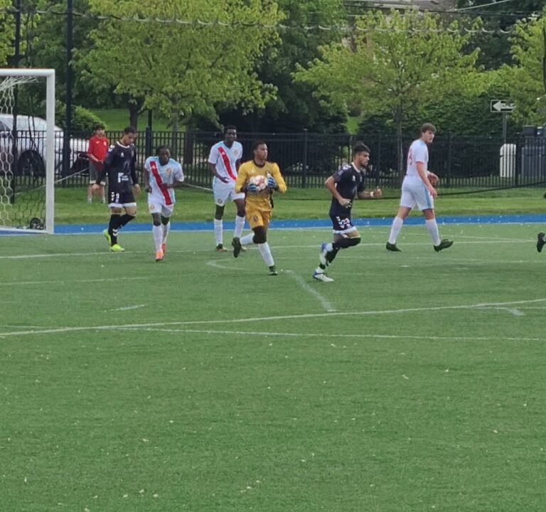 Soccer Field image 3