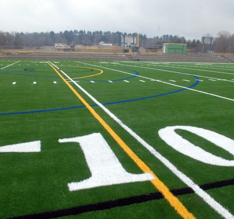 Soccer Field image 2