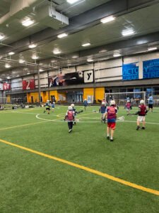 Soccer Field image 1