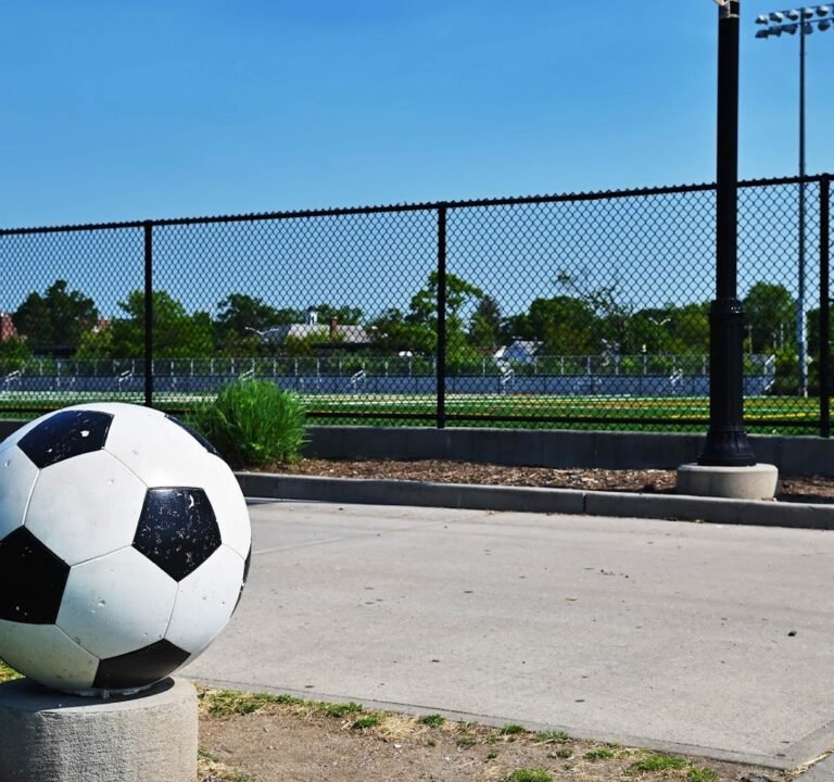 Soccer Field image 2