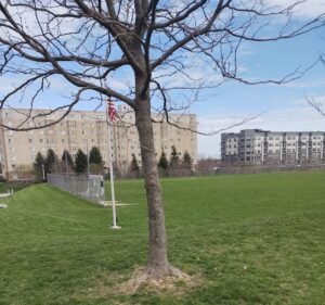 Soccer Field image 2