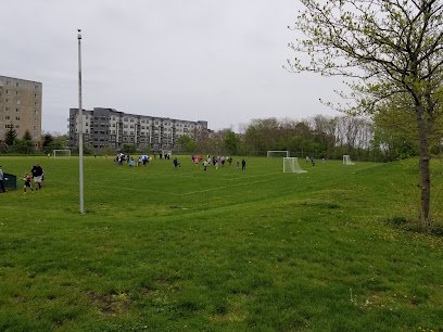 Soccer Field image 1