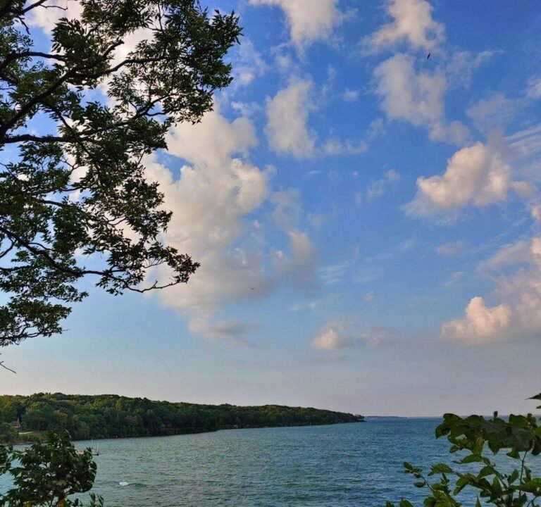 Soccer Field image 3