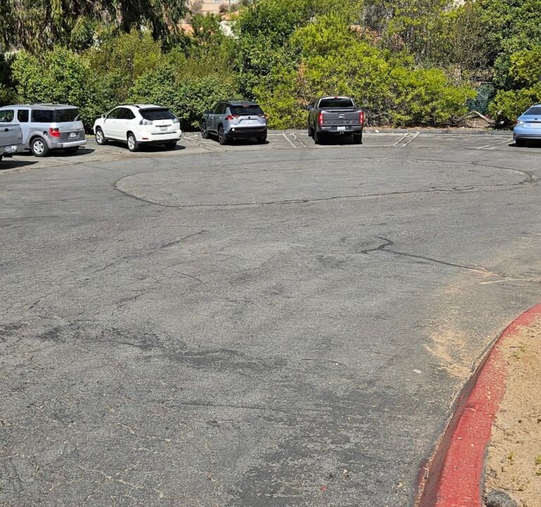 Soccer Field image 3