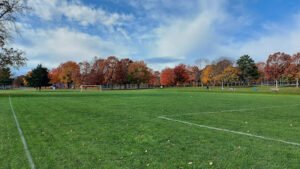 Soccer Field image 1