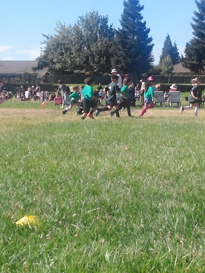 Soccer Field image 1