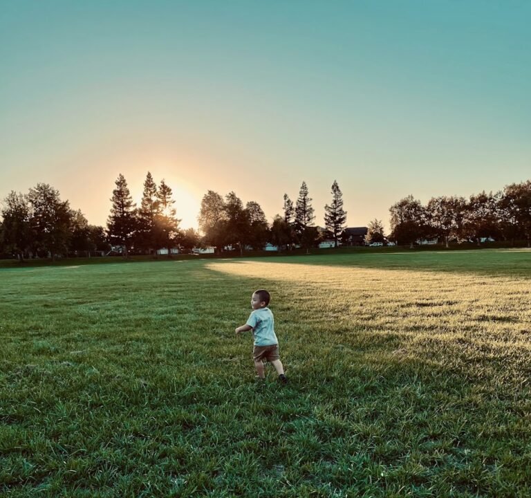 Soccer Field image 2