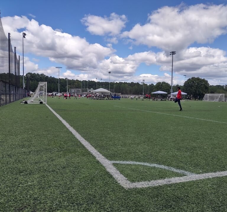 Soccer Field image 2