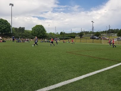 Soccer Field image 1