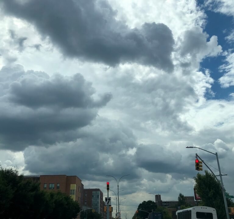 Soccer Field image 2