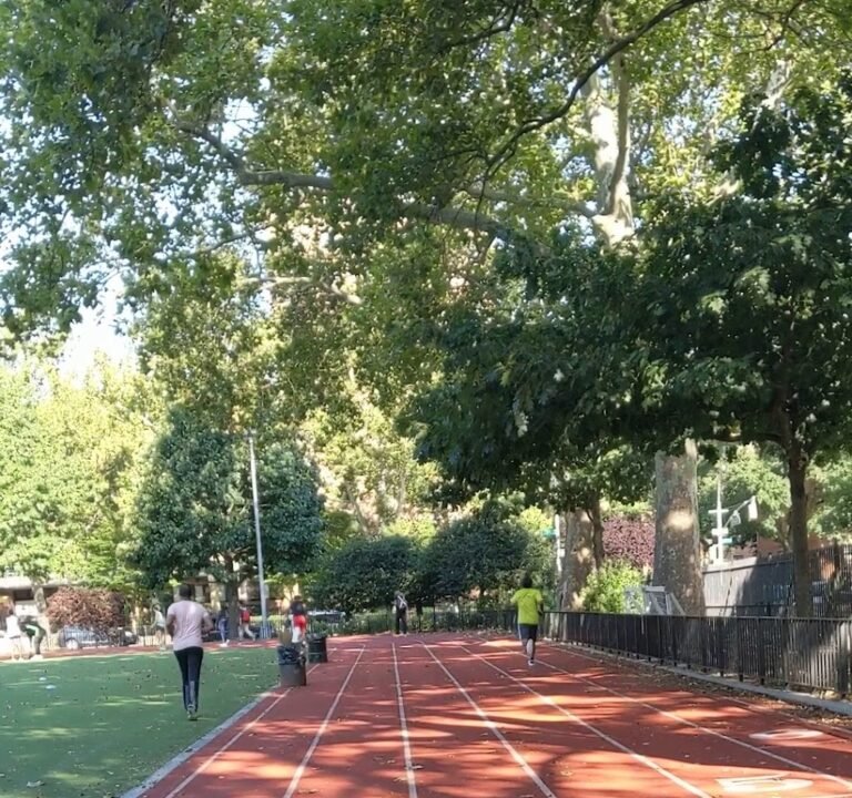 Soccer Field image 3