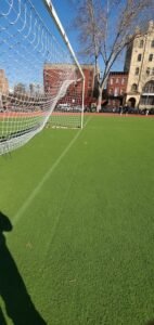 Soccer Field image 1