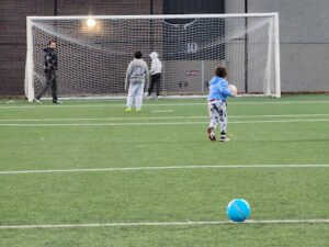 Soccer Field image 1